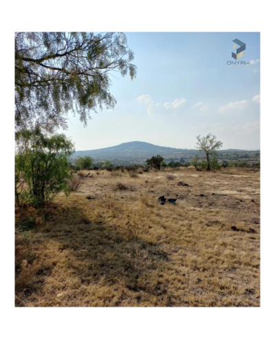 FICHA TECNICA COYOCALCO.pdf_20250731_212547_0000