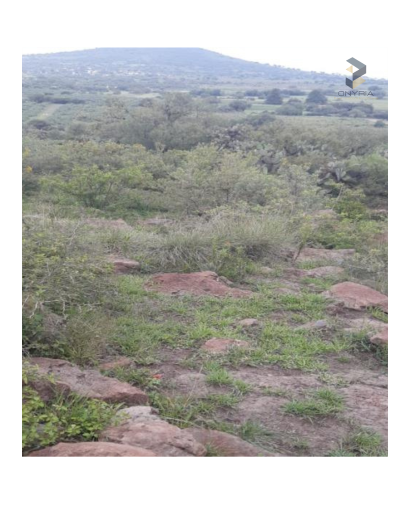 FICHA TECNICA COYOCALCO.pdf_20250731_212645_0000