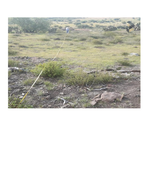 FICHA TECNICA COYOCALCO.pdf_20250731_212816_0000